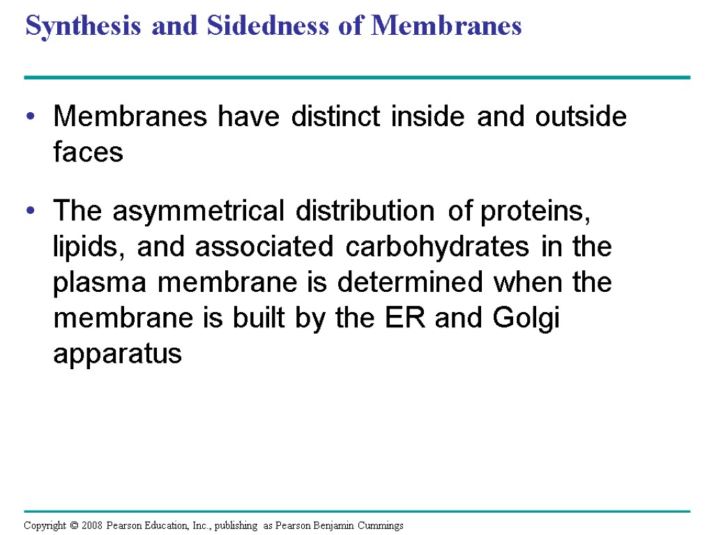 Synthesis and Sidedness of Membranes Membranes have distinct inside and outside faces The asymmetrical